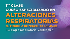 Curso especializado en alteraciones respiratorias en medicina de pequeños animales