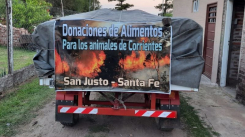 Colaboración para la atención de los animales quemados