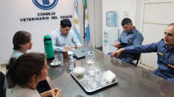 Violencia en veterinarias