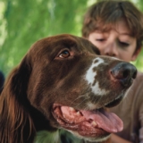 Subcomisión de Animales de Compañía