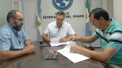 Nuevo convenio interprovincial entre los Consejos Veterinarios de Chaco y Formosa