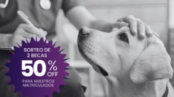 Diplomado en Medicina Interna Canina