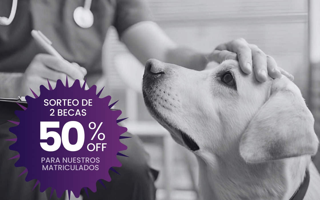 Diplomado en Medicina Interna Canina