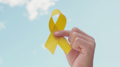 Encuesta: Septiembre Amarillo